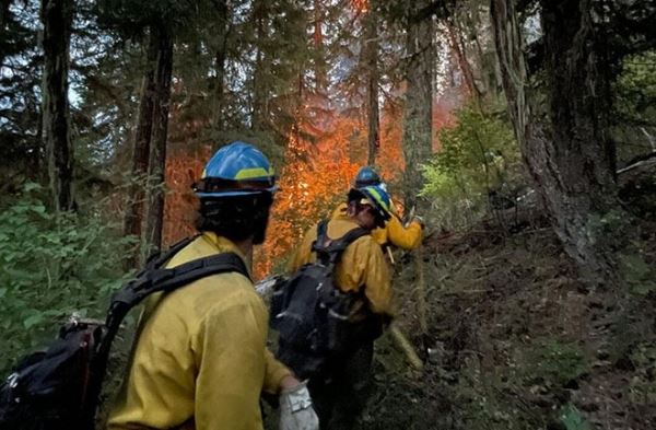Сотни молний разожгли лесные пожары в Орегоне